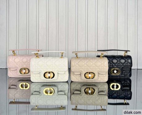 Dior Mini Jolie Top Handle Bag