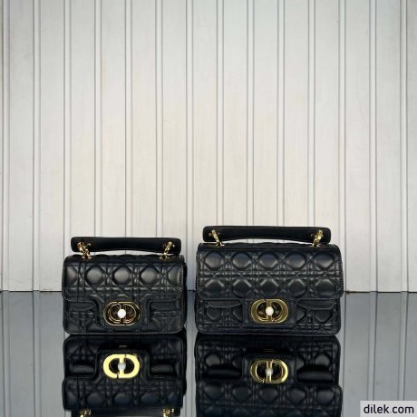 Dior Mini Jolie Top Handle Bag