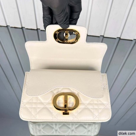 Dior Mini Jolie Top Handle Bag