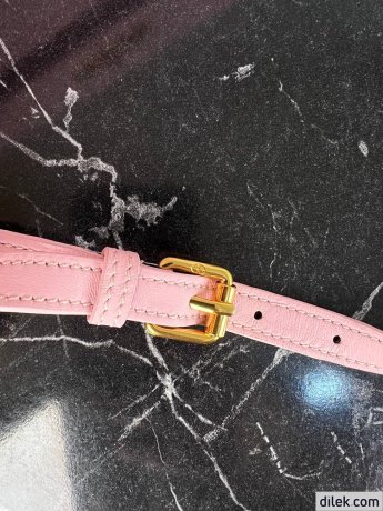 Dior Miss Caro Mini Bag