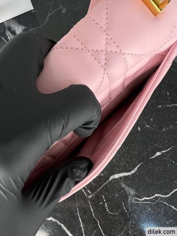 Dior Miss Caro Mini Bag