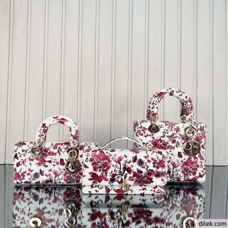 Dior My Dior Top Handle Bag