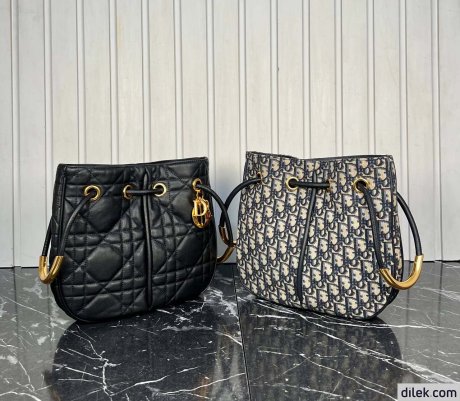 Medium Dior Nolita Bag