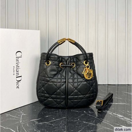 Medium Dior Nolita Bag