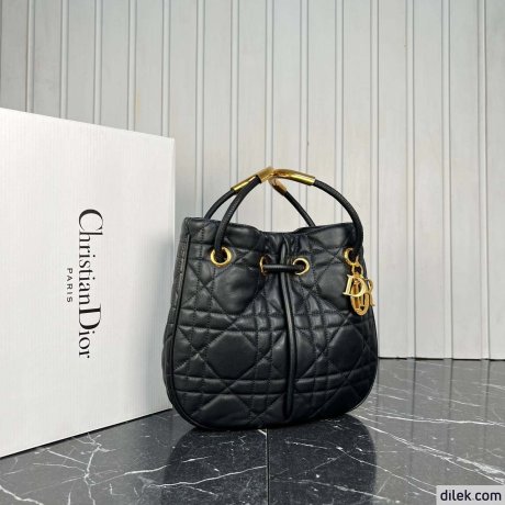 Medium Dior Nolita Bag