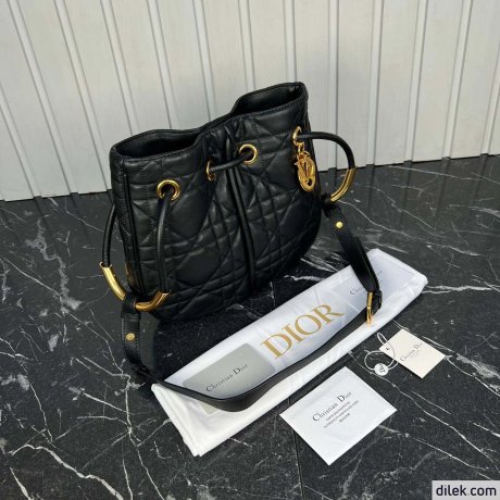 Medium Dior Nolita Bag