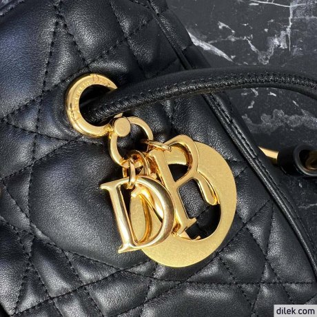 Medium Dior Nolita Bag