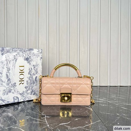 Dior Mini Ange Bag