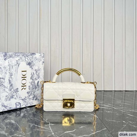 Dior Mini Ange Bag