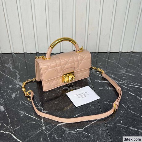 Dior Mini Ange Bag
