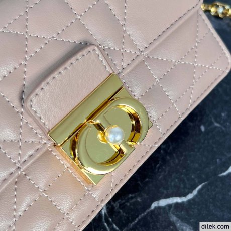 Dior Mini Ange Bag