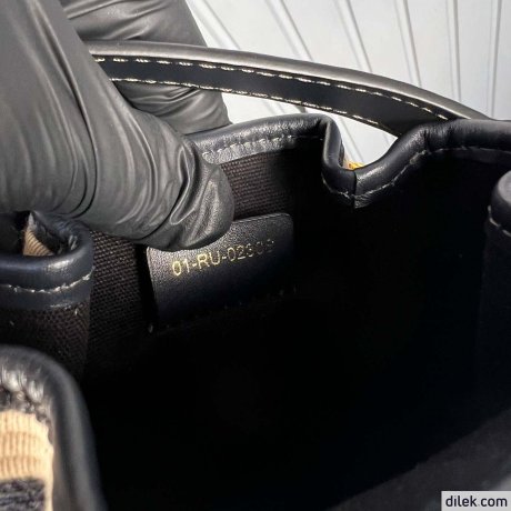 Dior Small C'est Bag