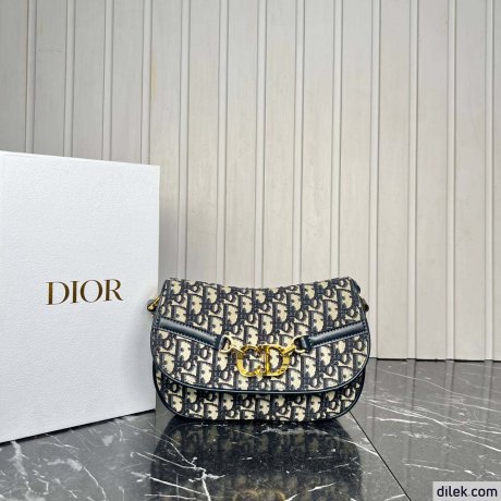 Dior Small CD Besace Bag