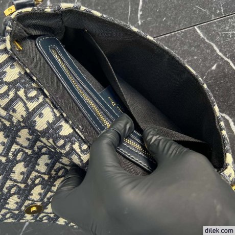 Dior Small CD Besace Bag