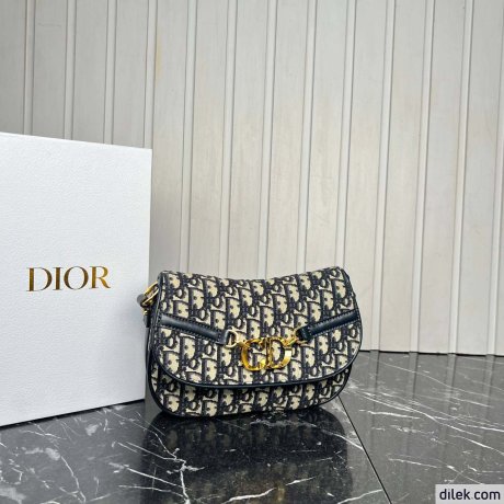 Dior Small CD Besace Bag