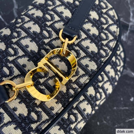 Dior Small CD Besace Bag