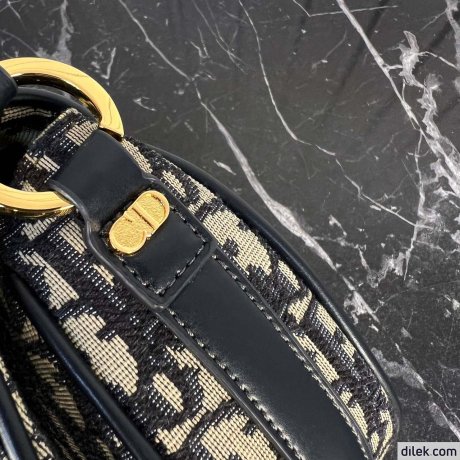 Dior Small CD Besace Bag