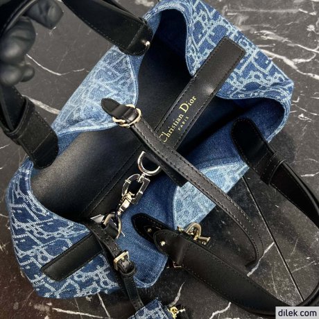Dior Small Toujours Bag Blue Denim