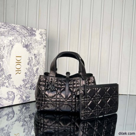 Dior Small Toujours Bag