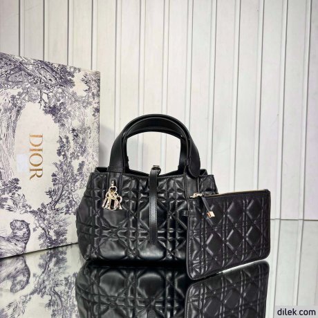 Dior Small Toujours Bag