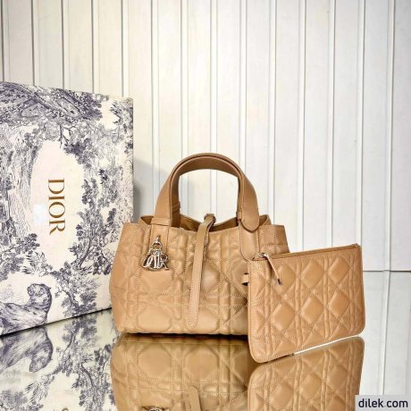 Dior Small Toujours Bag
