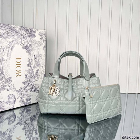 Dior Small Toujours Bag