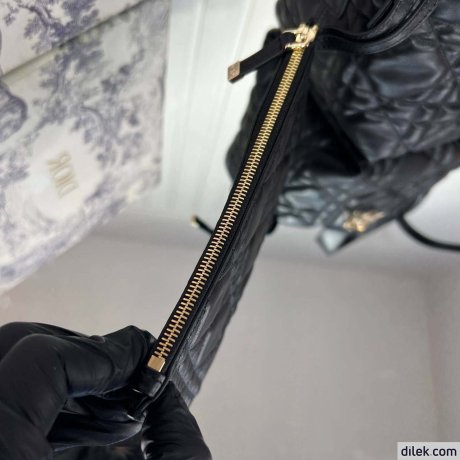 Dior Small Toujours Bag