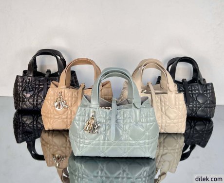 Dior Small Toujours Bag