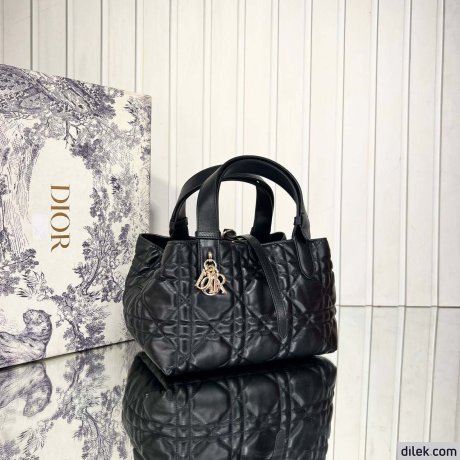 Dior Small Toujours Bag