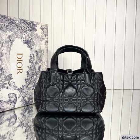 Dior Small Toujours Bag