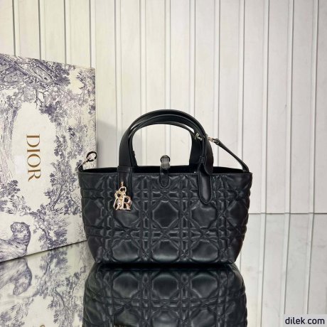 Dior Small Toujours Bag