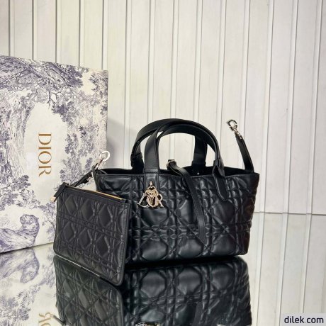 Dior Small Toujours Bag