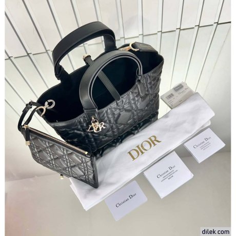 Dior Small Toujours Bag