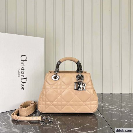 Dior The Lady 95.22 Small Bag