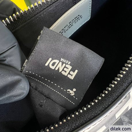 Fendi Fendigraphy Small
