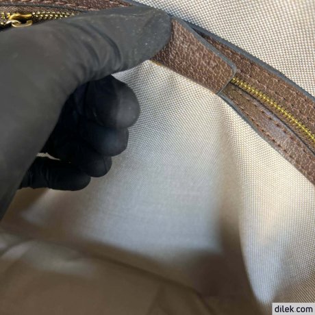 Gucci GG Supreme Ophidia Large Backpack