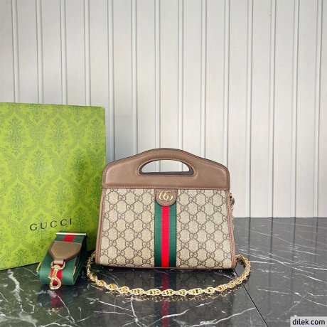 Gucci Ophidia GG Bag