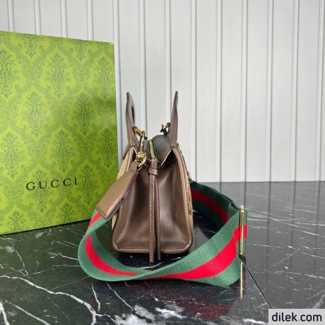 Gucci Ophidia GG Bag