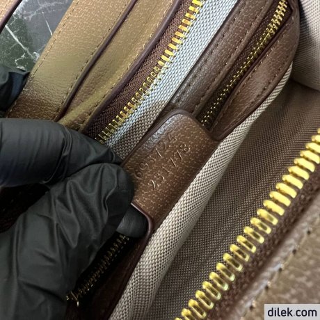 Gucci Ophidia GG Bag