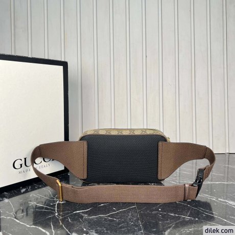 Gucci Ophidia GG Belt Bag