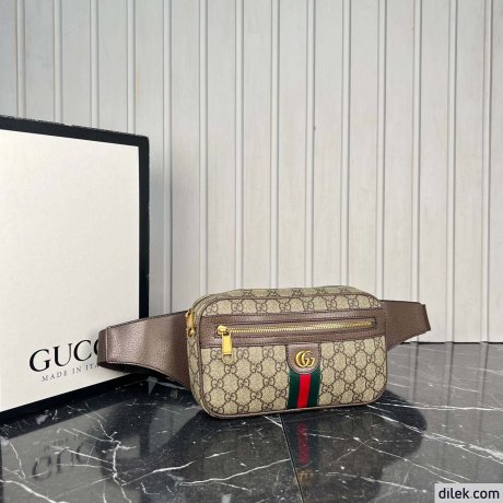 Gucci Ophidia GG Belt Bag