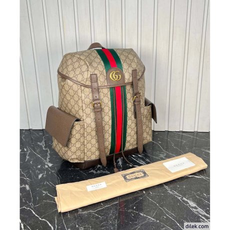 Gucci Ophidia GG Medium Backpack