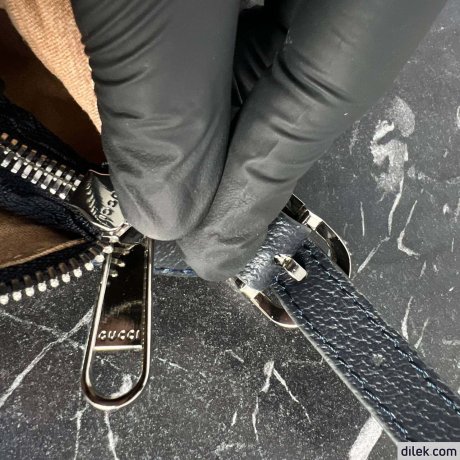 Gucci Ophidia GG Mini Bag