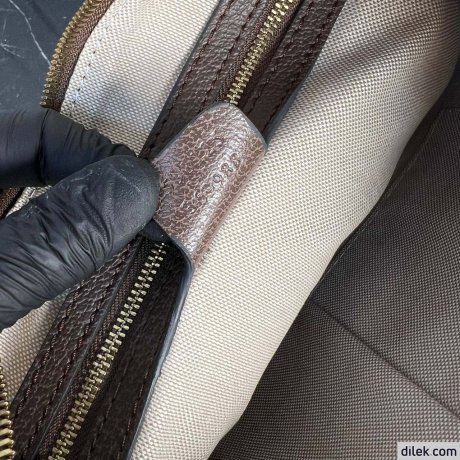 Gucci Ophidia GG Small Crossbody Bag