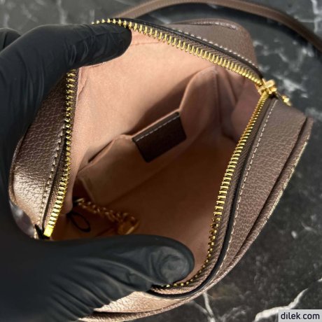 Gucci Ophidia GG Supreme Mini Bag