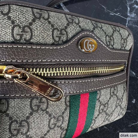 Gucci Ophidia GG Supreme Mini Bag