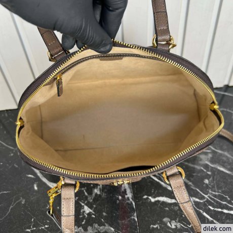 Gucci Ophidia Medium Top Handle Bag