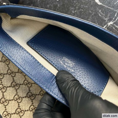 Gucci Ophidia Mini Bag