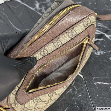 Gucci Ophidia Small Shoulder Bag