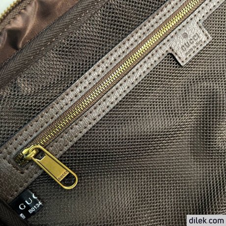 Gucci Savoy Shoe Case